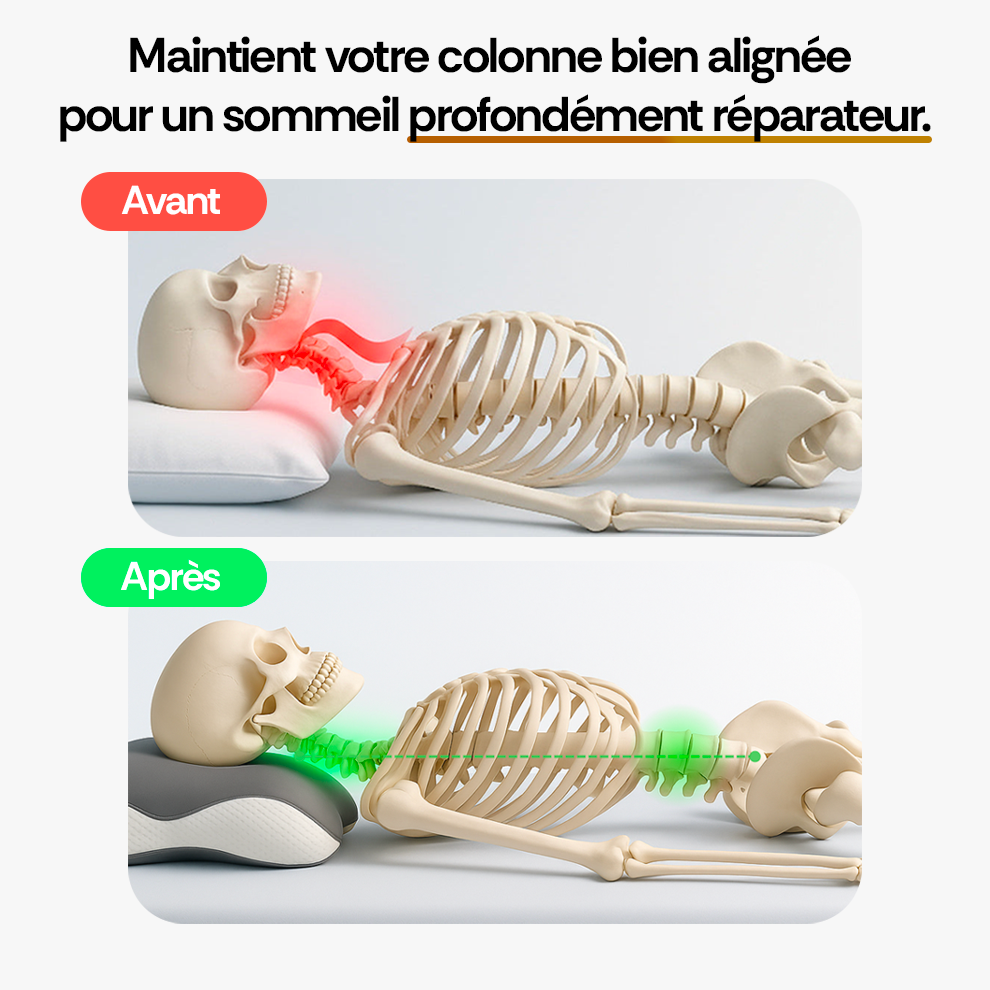 Oreiller ergonomique Noctesia™